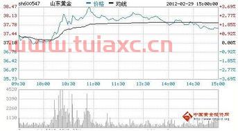 山东黄金股票行情