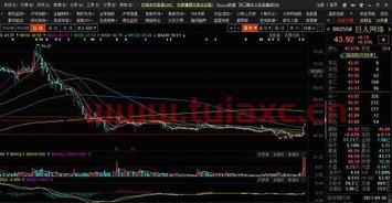 手机里股票大盘在哪里看的到