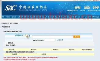 2021年证券从业资格考试查询成绩怎么查