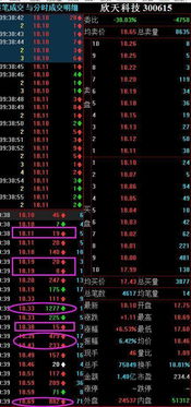 主动买入和被动买入的区别