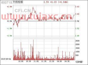 600715文投控股