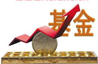 新手基金怎么玩才能赚钱快点呢