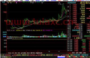 用电脑炒股票下载什么软件