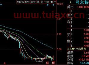 司尔特股票