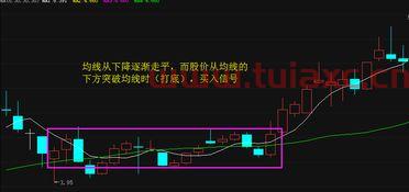 我买入的股票哪里看
