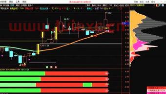 股票主力操盘视频