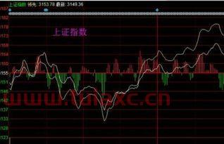 股票的指数是怎么算出来的呀