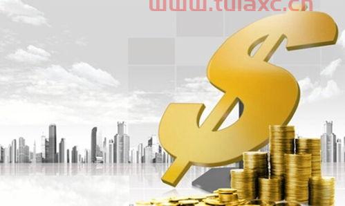 新手怎样投资基金才可以获得最大收益