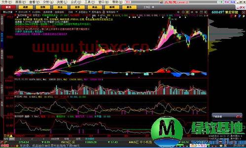 怎么买股票下载什么软件