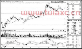 个股k线图与大盘走势比较