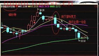 股票买卖基本知识讲解
