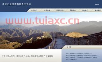 怎么进中央汇金