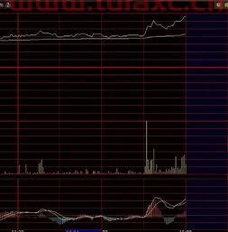 股票买入怎么卖出