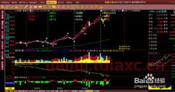 怎样买股票才能赚到钱