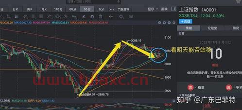为什么今日股市大盘涨跌走势