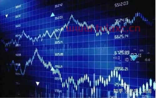 哪个证券公司交易手续费低点