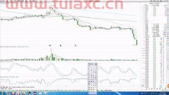 中科金财股票行情