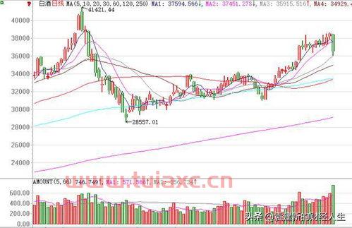 股市评论最新视频