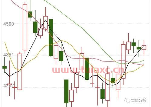 股票的涨跌是由谁决定的呢