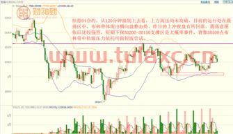 美国期货实时行情