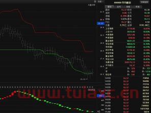 股票价格颜色是灰色
