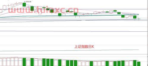 北交所的股票在哪里交易