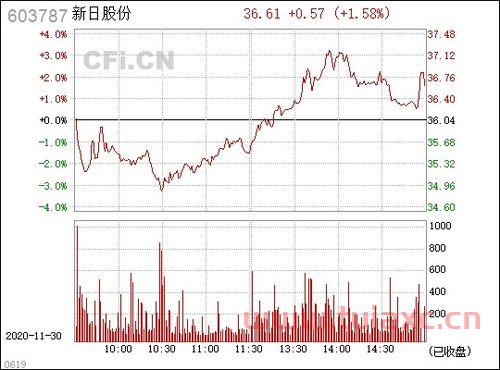 603787新日股份