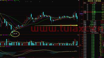 大洋电机股票新消息