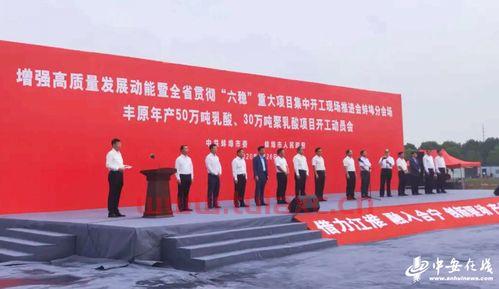 蚌埠重大项目投资公司（蚌埠投资集团项目管理有限公司）