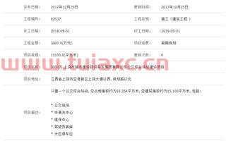 由投资公司建设项目（投资公司某个项目）