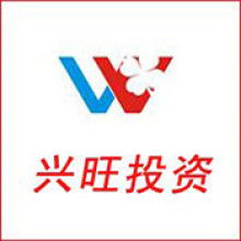 深圳市和兴盛投资有限公司（深圳和兴股份有限公司）