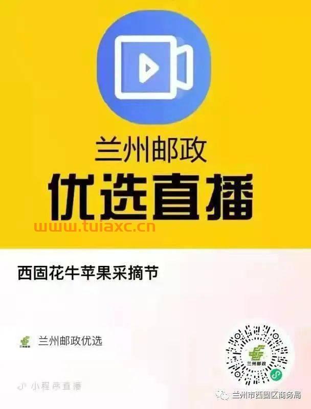 深圳市苹果投资有限公司（深圳市苹果投资有限公司官网）