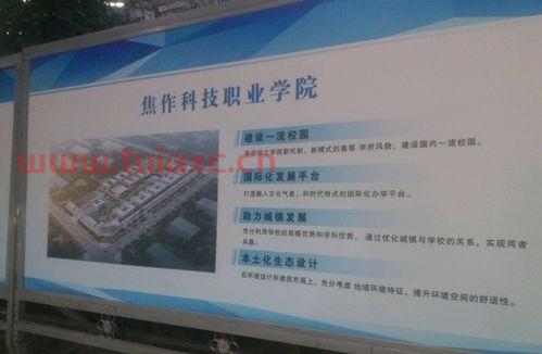 焦作投资公司项目部招聘（焦作投资公司项目部招聘信息）