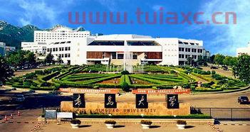 青岛大学的金融学（青岛大学的金融学好就业吗）