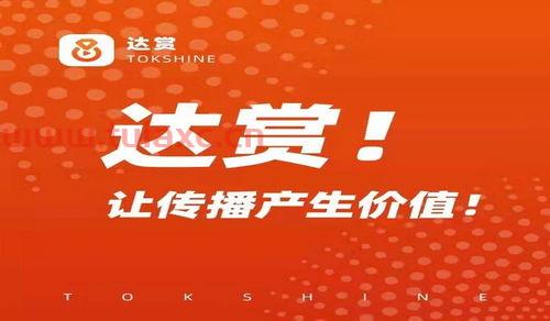 新型小项目投资公司（新型小项目投资公司怎么样）