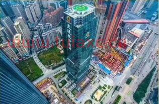 广西交通投资集团简称（广西交通投资集团在哪）