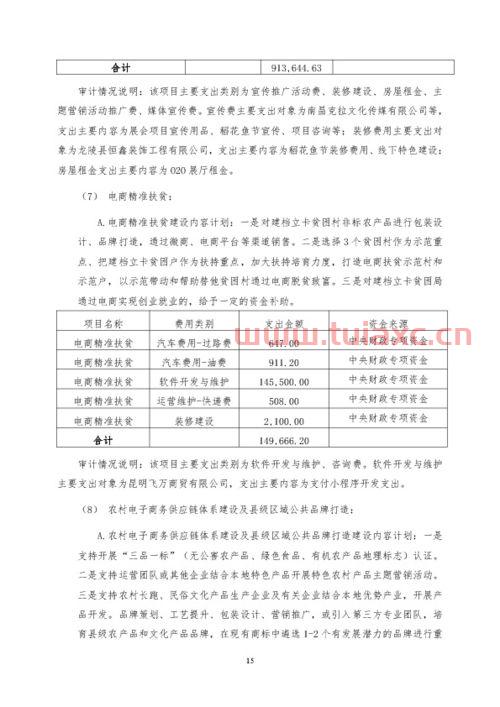 投资公司项目专项审计（投资公司项目专项审计报告）
