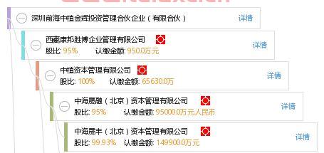 深圳市金辉投资有限公司（深圳市金辉投资有限公司怎么样）