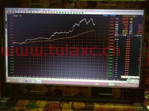 初学者如何看懂股票概念