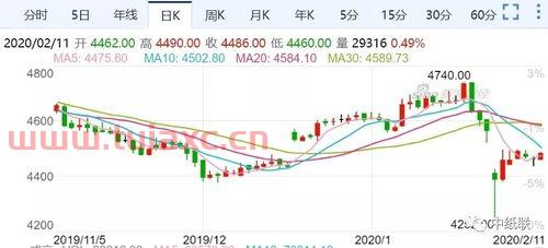 纸浆期货*消息
