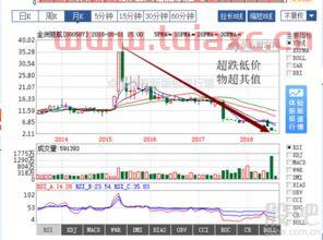 000587金洲慈航股吧
