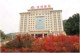 洛阳钼业为什么不受青睐