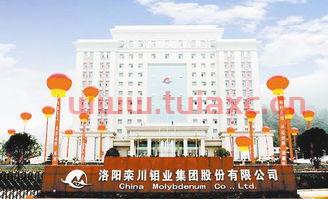洛阳钼业还会跌吗