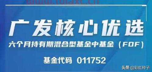 广发优选
