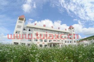 盛屯矿业600711*消息公告