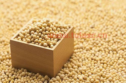 美国大豆期货最新消息