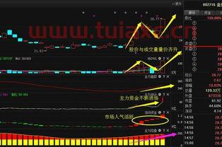 金贵银业股票行情