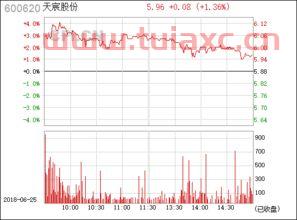 600620天宸股份