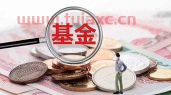 蚂蚁基金亏本