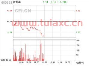 新黄浦股票股吧